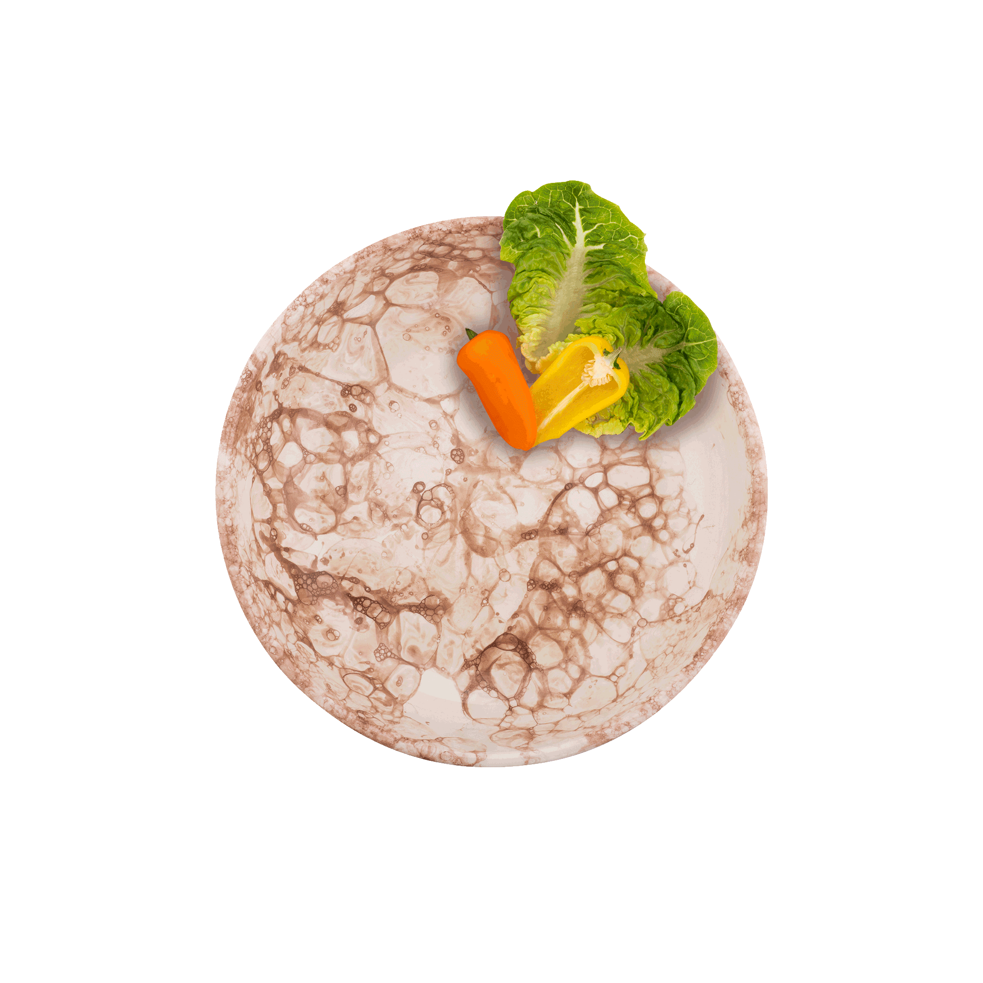 Espuma Schaal 27 cm terra