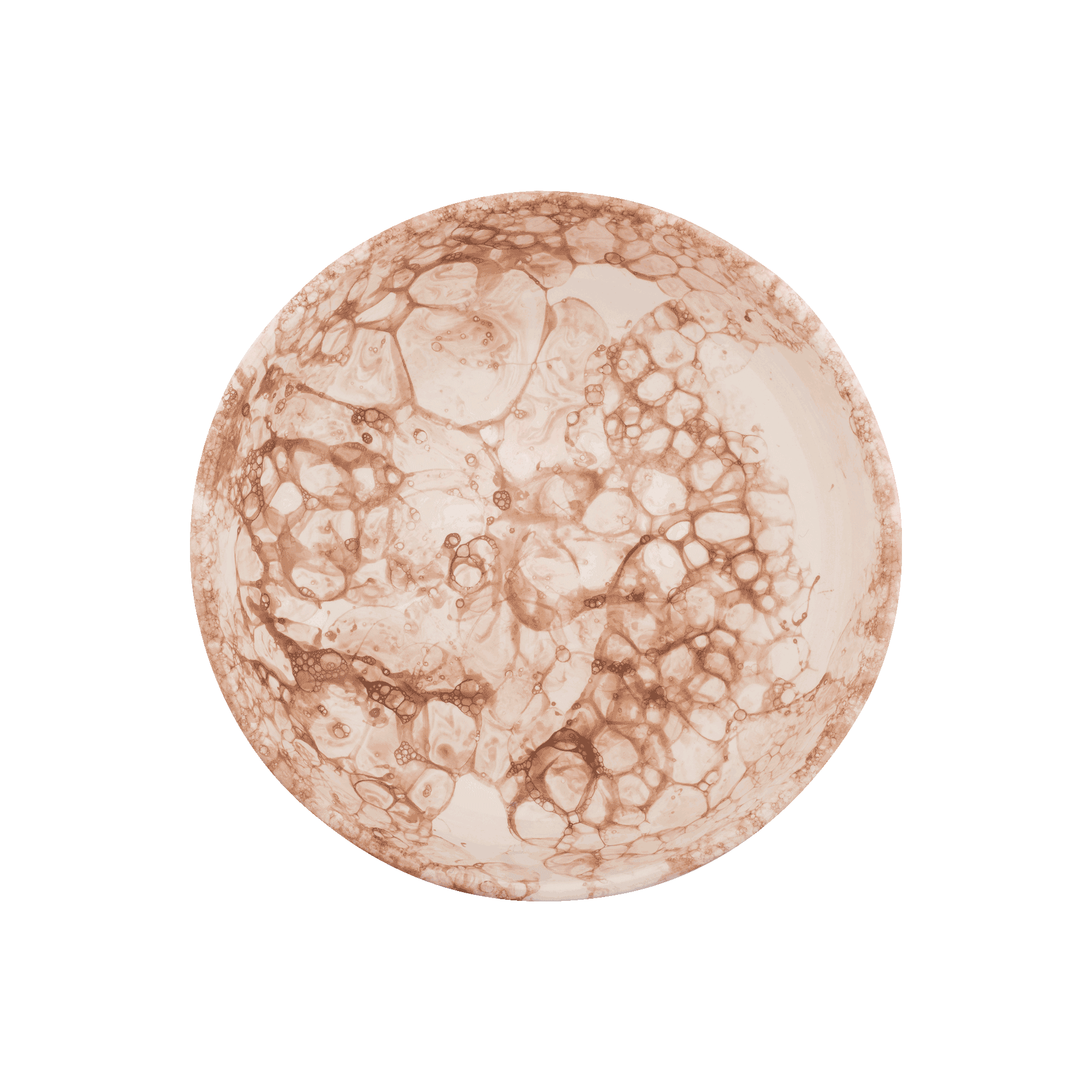 Espuma Schaal 27 cm terra