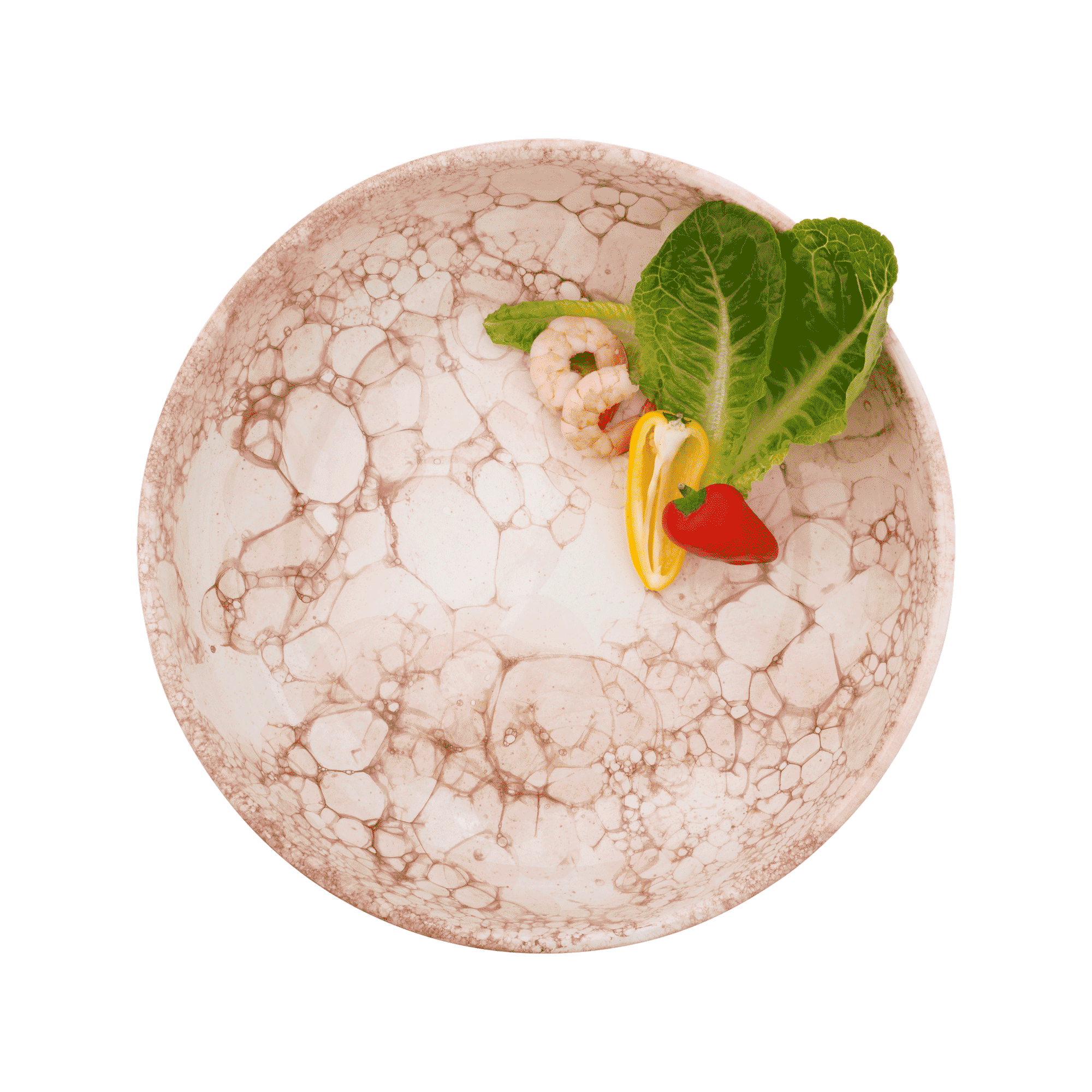 Espuma Schaal 31 cm terra