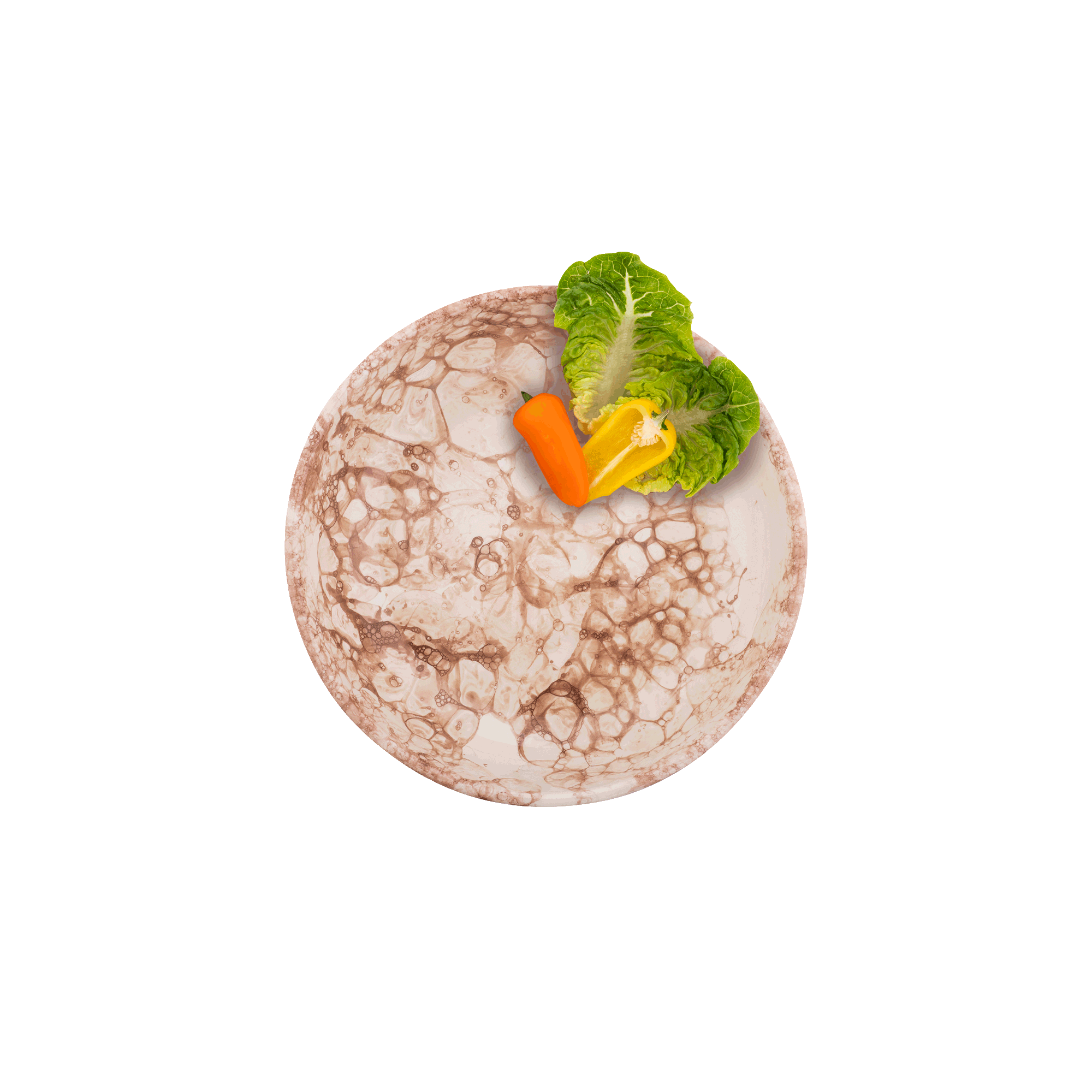 Espuma Schaal 23 cm terra